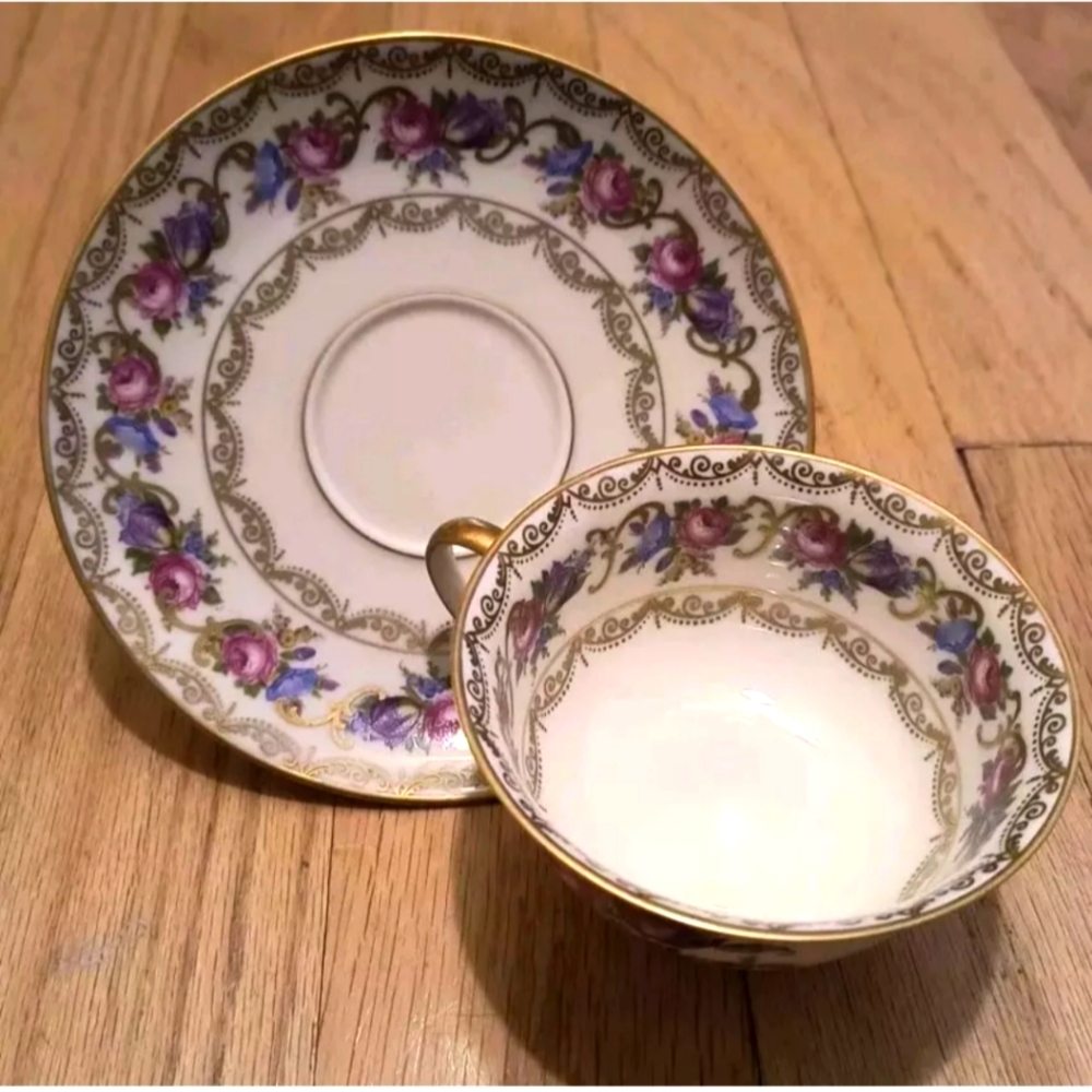 Vienna by Rosenthal Footed Cup & Saucer Set